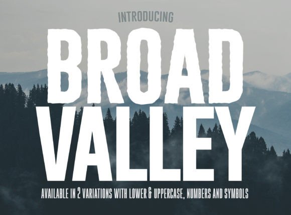 Broad Valley: A Bold Choice for Strategic Design and Communication